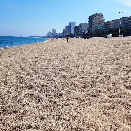 Seaside Terrace Apartment: Beachfront Living With City Views Apartment *